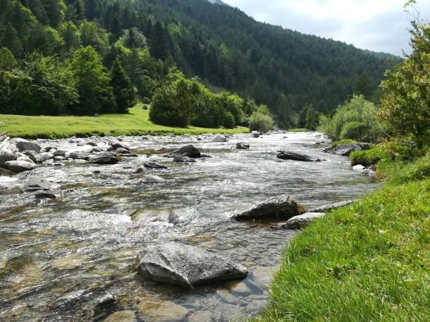 pahalgam hotels